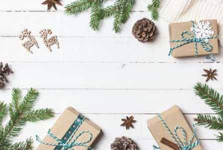 Holiday Gift Guide: Eco-Conscious Loved One