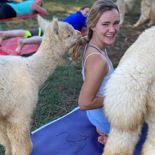 PRIVATE Alpaca Yoga Events: Email to schedule. 10 person minimum