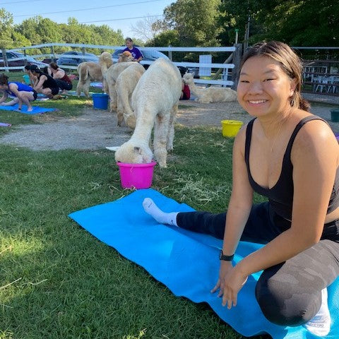 Alpaca Yoga at GKR