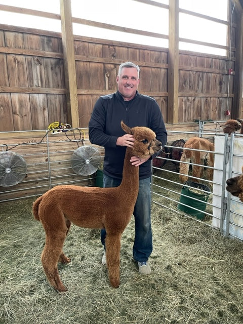 Alpaca Sponsorships